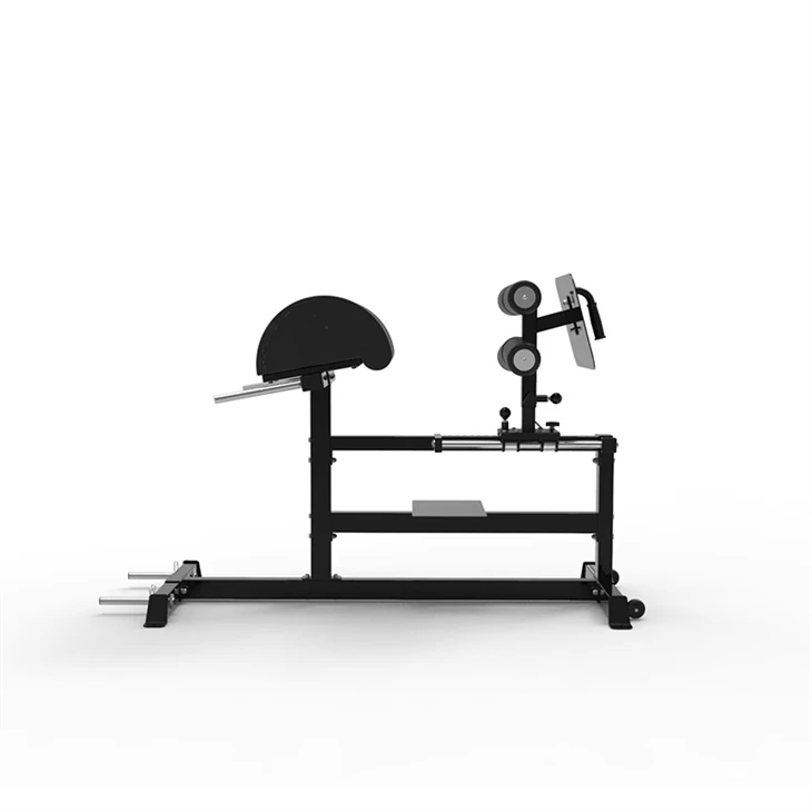 Hip Focus Training Machine best